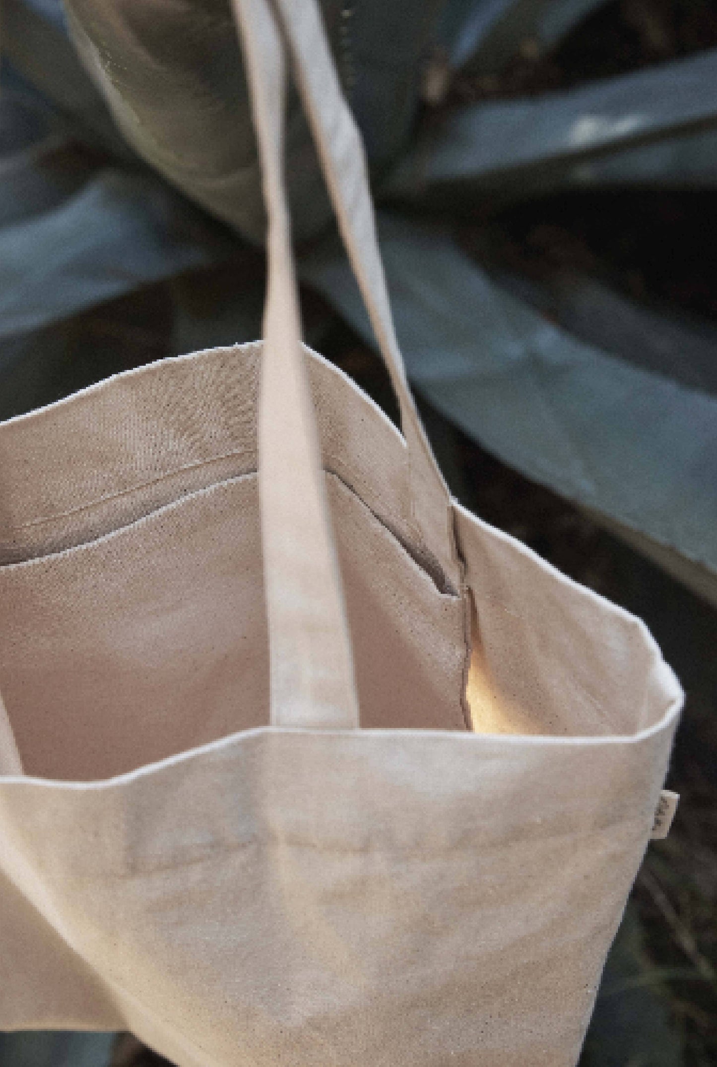Canvas Tote Bag