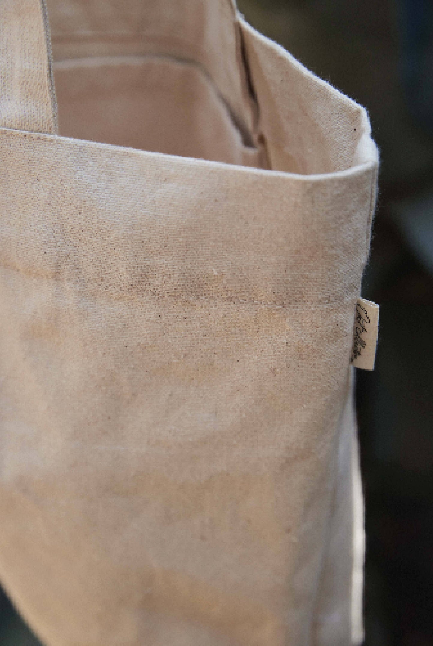 Canvas Tote Bag