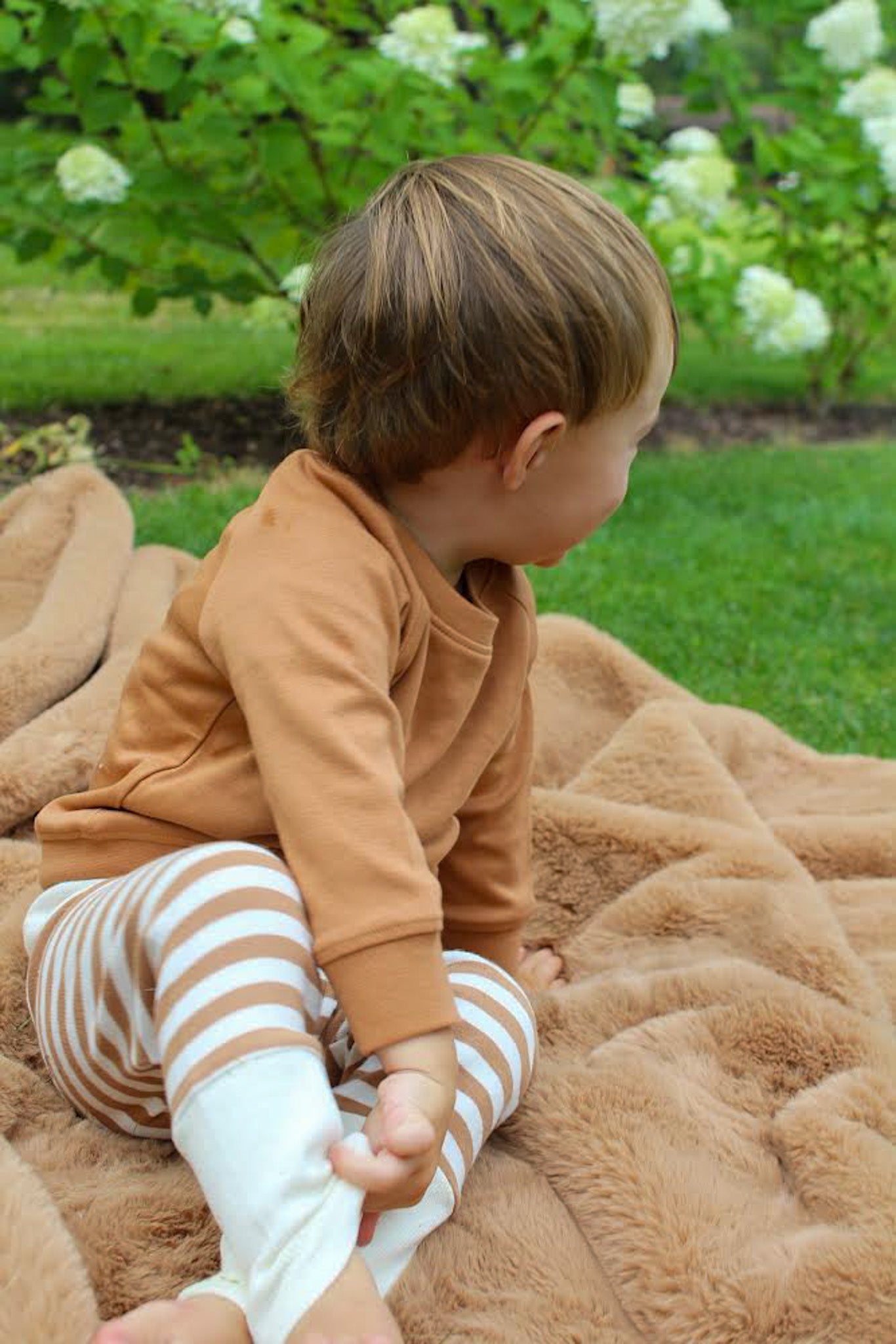 Organic Cotton Crewneck / Carmel