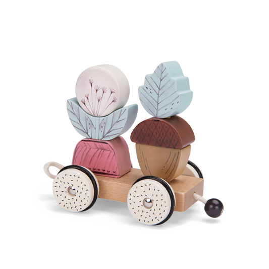 Pull along activity train