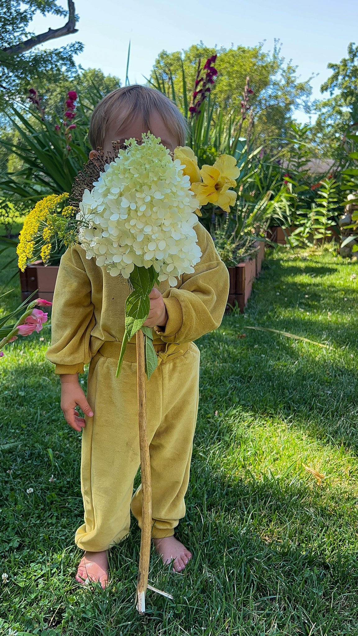 Cotton Tracksuit Set / Golden